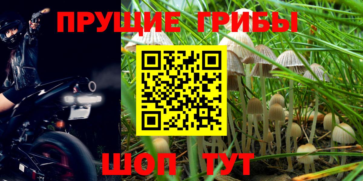 Псилоцибиновые грибы мухоморы Электросталь
