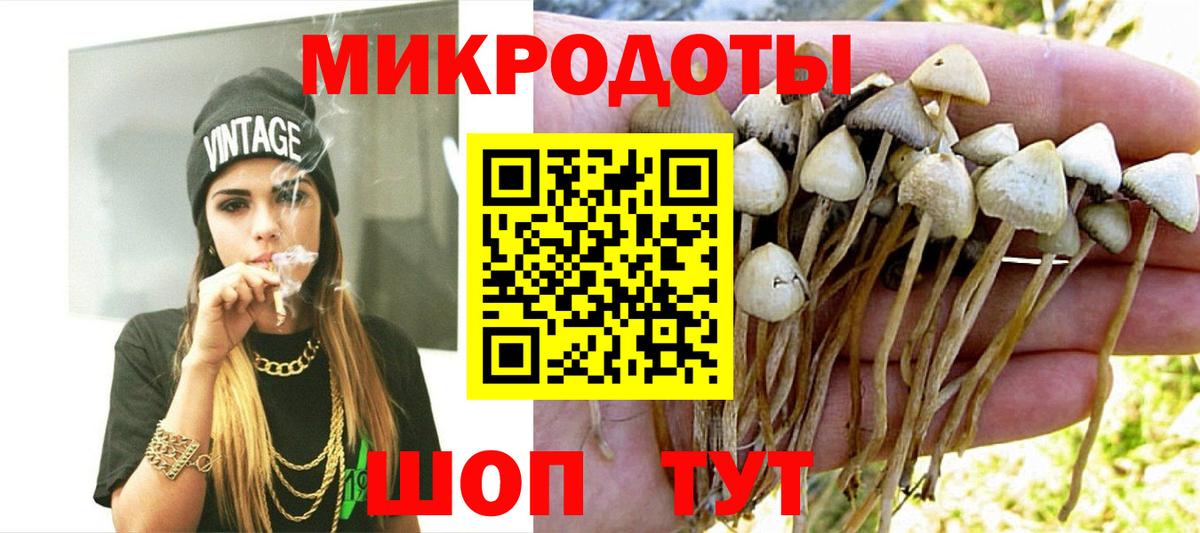 Псилоцибиновые грибы мицелий  Псилоцибиновые грибы ЛСД  купить   Электросталь  Вход с VPN 